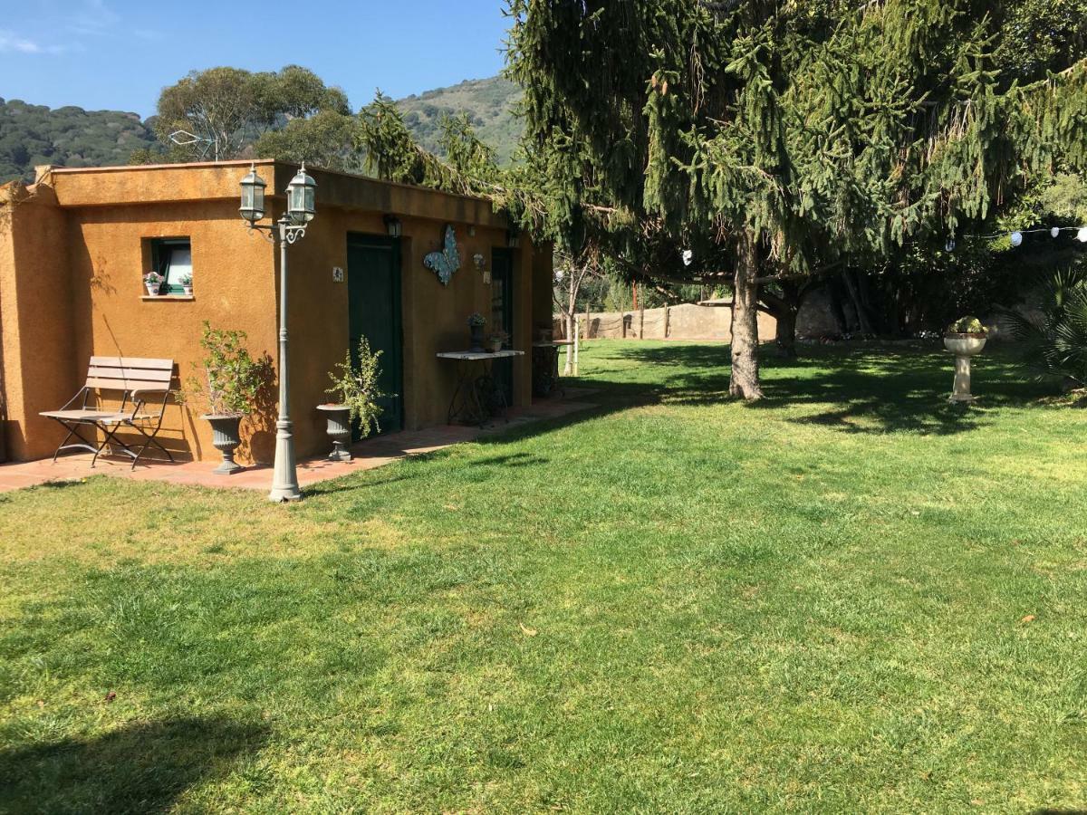 Hotel Masia Can Vive Кабрера-де-Мар Экстерьер фото